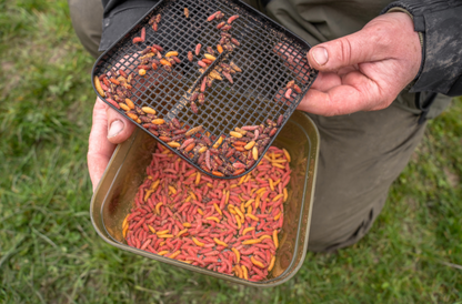 Cutie De Momeala Cu Sita Si Capac Korum, Capac Cu Perforatii, Inchidere Ermetica, Negru Cu Verde, Ideala Pentru Pescuit La Feeder