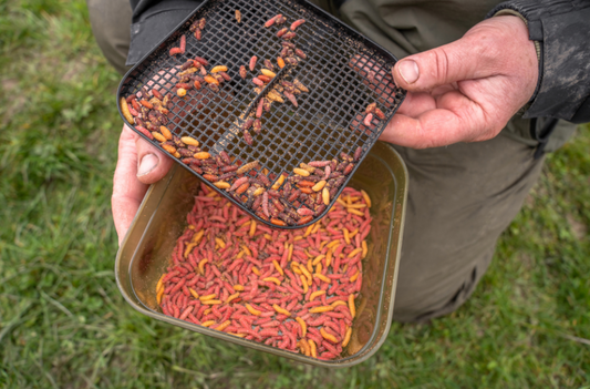 Cutie De Momeala Cu Sita Si Capac Korum, Capac Cu Perforatii, Inchidere Ermetica, Negru Cu Verde, Ideala Pentru Pescuit La Feeder